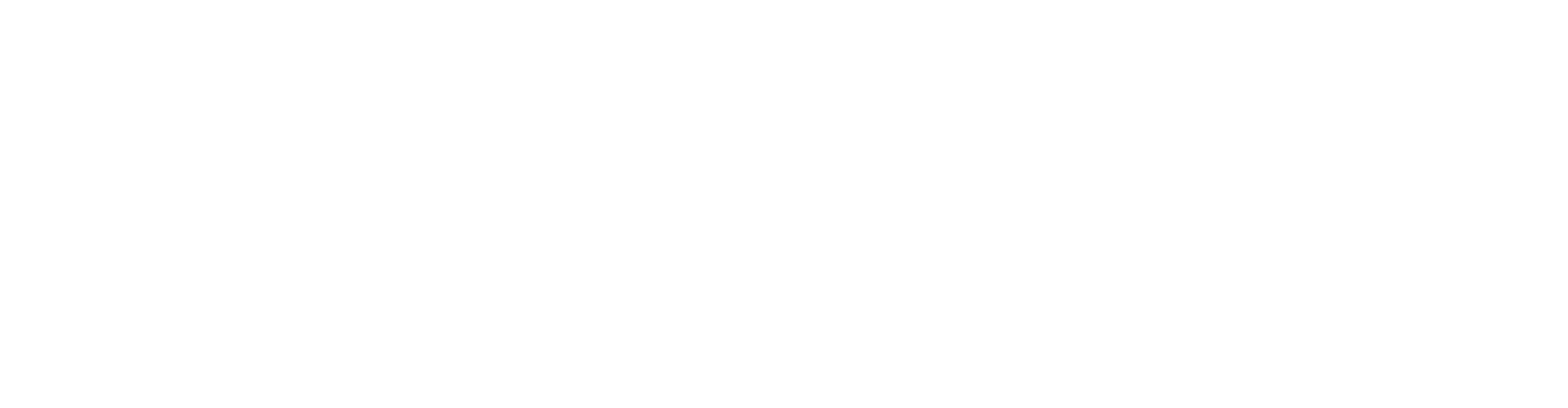 appleportfolio